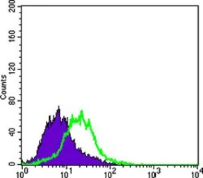 Anti-Cytokeratin 15 antibody [6E7] used in Flow cytometry (FCM). GTX83193