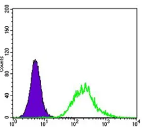 Anti-MATK antibody [9D7] used in Flow cytometry (FCM). GTX83311