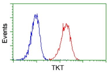 Anti-Transketolase antibody [5H3] used in Flow cytometry (FCM). GTX83510