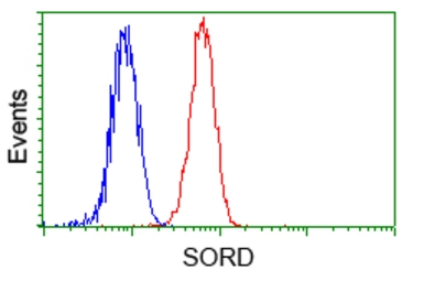 Anti-Sorbitol Dehydrogenase antibody [1D5] used in Flow cytometry (FCM). GTX83588