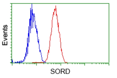 Anti-Sorbitol Dehydrogenase antibody [1D5] used in Flow cytometry (FCM). GTX83588
