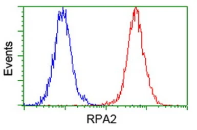 Anti-RPA32 antibody [1H10] used in Flow cytometry (FCM). GTX83691