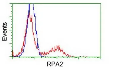 Anti-RPA32 antibody [1H10] used in Flow cytometry (FCM). GTX83691