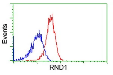 Anti-RND1 antibody [1C3] used in Flow cytometry (FCM). GTX83708