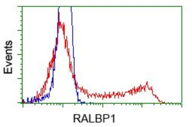 Anti-RALBP1 antibody [11B2] used in Flow cytometry (FCM). GTX83728