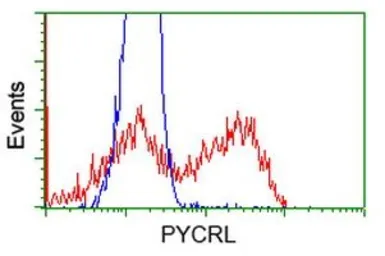 Anti-PYCRL antibody [3A8] used in Flow cytometry (FCM). GTX83751