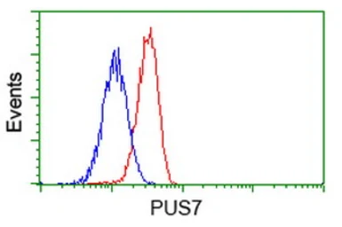 Anti-PUS7 antibody [4H5] used in Flow cytometry (FCM). GTX83756