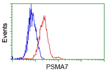 Anti-PSMA7 antibody [8F9] used in Flow cytometry (FCM). GTX83785