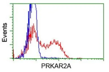 Anti-PKA R2 antibody [1B4] used in Flow cytometry (FCM). GTX83826