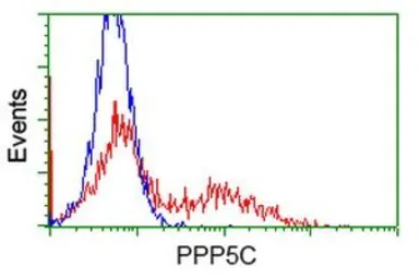 Anti-PPP5C antibody [3G1] used in Flow cytometry (FCM). GTX83836