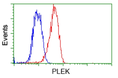 Anti-Pleckstrin antibody [2D11] used in Flow cytometry (FCM). GTX83872