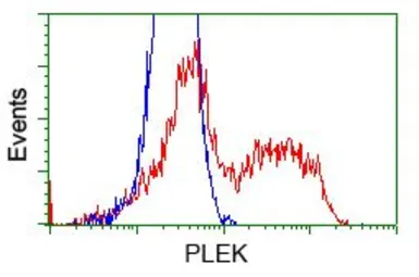 Anti-Pleckstrin antibody [2D11] used in Flow cytometry (FCM). GTX83872