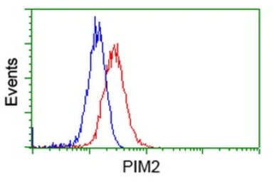 Anti-PIM2 antibody [9A5] used in Flow cytometry (FCM). GTX83892