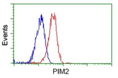 Anti-PIM2 antibody [9A5] used in Flow cytometry (FCM). GTX83892