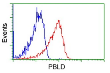 Anti-PBLD antibody [7G5] used in Flow cytometry (FCM). GTX83938