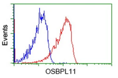 Anti-OSBPL11 antibody [6A6] used in Flow cytometry (FCM). GTX83960