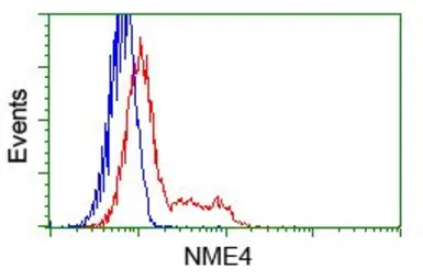 Anti-NME4 antibody [5E4] used in Flow cytometry (FCM). GTX84028