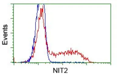 Anti-NIT2 antibody [2B9] used in Flow cytometry (FCM). GTX84036