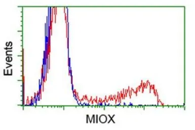 Anti-MIOX antibody [1C5] used in Flow cytometry (FCM). GTX84112