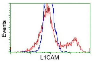 Anti-L1CAM antibody [1H3] used in Flow cytometry (FCM). GTX84244