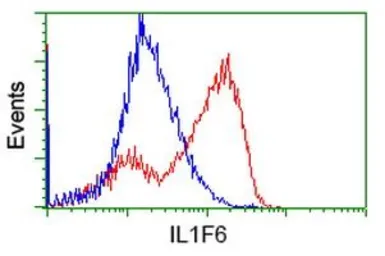 Anti-IL1F6 antibody [1D11] used in Flow cytometry (FCM). GTX84299