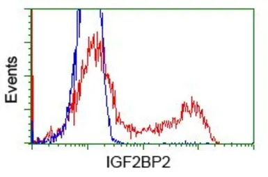 Anti-IGF2BP2 antibody [3F9] used in Flow cytometry (FCM). GTX84306