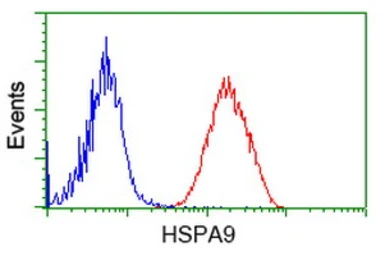 Anti-Grp75 antibody [9F8] used in Flow cytometry (FCM). GTX84331