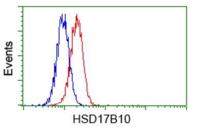 Anti-ERAB antibody [5E2] used in Flow cytometry (FCM). GTX84344