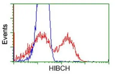 Anti-HIBCH antibody [4G1] used in Flow cytometry (FCM). GTX84368