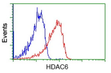 Anti-HDAC6 antibody [1D11] used in Flow cytometry (FCM). GTX84379