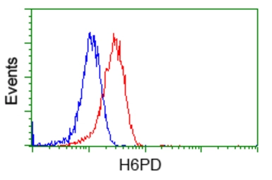 Anti-H6PD antibody [2A7] used in Flow cytometry (FCM). GTX84395