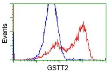 Anti-GSTT2 antibody [8A10] used in Flow cytometry (FCM). GTX84398
