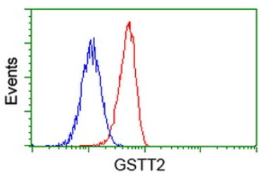 Anti-GSTT2 antibody [2E3] used in Flow cytometry (FCM). GTX84400