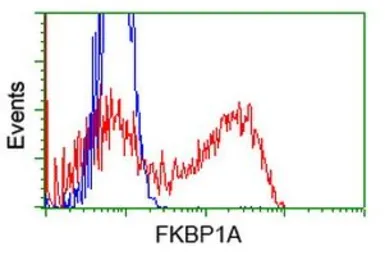 Anti-FKBP12 antibody [3B3] used in Flow cytometry (FCM). GTX84492