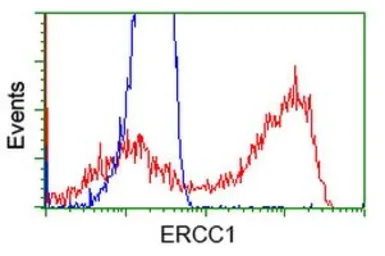 Anti-ERCC1 antibody [3E1] used in Flow cytometry (FCM). GTX84559
