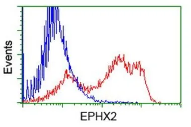 Anti-EPXH2 antibody [2F2] used in Flow cytometry (FCM). GTX84567