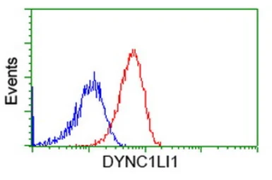 Anti-DYNC1LI1 antibody [2E8] used in Flow cytometry (FCM). GTX84594