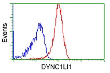 Anti-DYNC1LI1 antibody [2E8] used in Flow cytometry (FCM). GTX84594