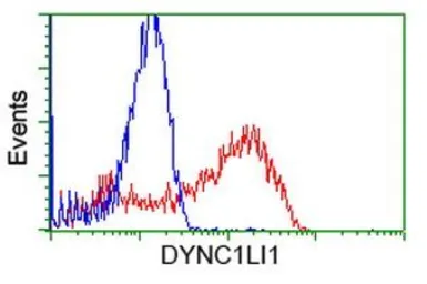 Anti-DYNC1LI1 antibody [2E8] used in Flow cytometry (FCM). GTX84594