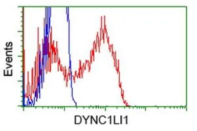 Anti-DYNC1LI1 antibody [1D1] used in Flow cytometry (FCM). GTX84597