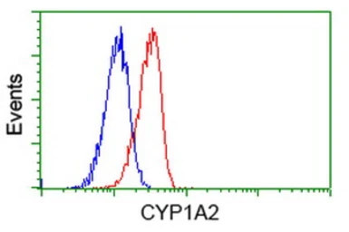 Anti-CYP1A2 antibody [15E2] used in Flow cytometry (FCM). GTX84638