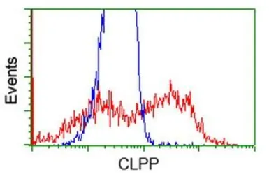 Anti-CLPP antibody [1D8] used in Flow cytometry (FCM). GTX84679