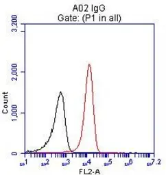 Anti-CD4 antibody [18E3] used in Flow cytometry (FCM). GTX84714
