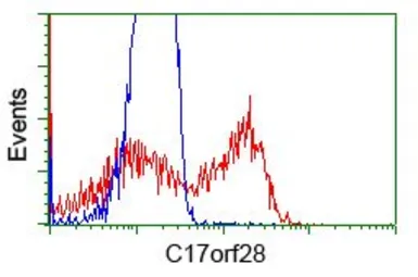 Anti-C17orf28 antibody [2F4] used in Flow cytometry (FCM). GTX84750