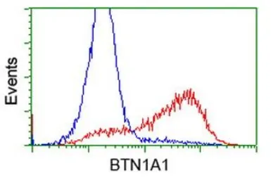 Anti-BTN1A1 antibody [3A12] used in Flow cytometry (FCM). GTX84780