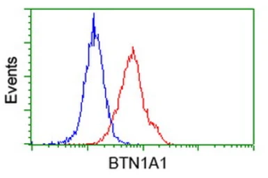 Anti-BTN1A1 antibody [7B5] used in Flow cytometry (FCM). GTX84781