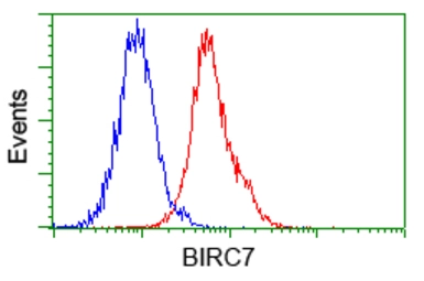 Anti-Livin antibody [1D12] used in Flow cytometry (FCM). GTX84823