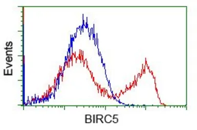 Anti-Survivin antibody [2D9] used in Flow cytometry (FCM). GTX84824