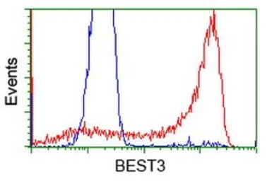 Anti-Bestrophin 3 antibody [3B11] used in Flow cytometry (FCM). GTX84829