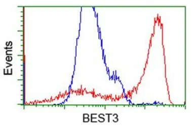 Anti-Bestrophin 3 antibody [1B6] used in Flow cytometry (FCM). GTX84830